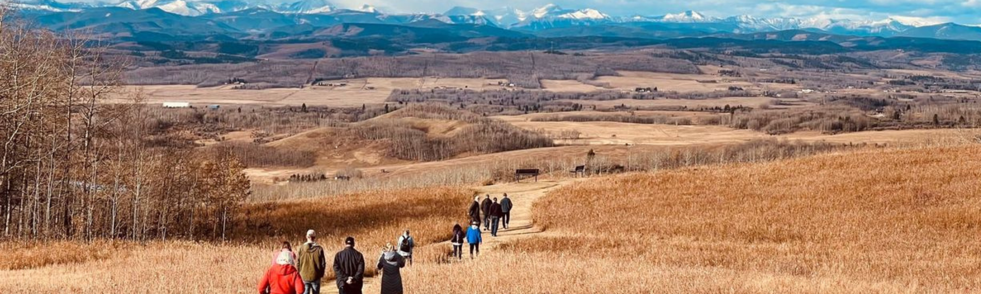 Members of YouQuest on a walk in the Nose Hill Park in the Calgary community.